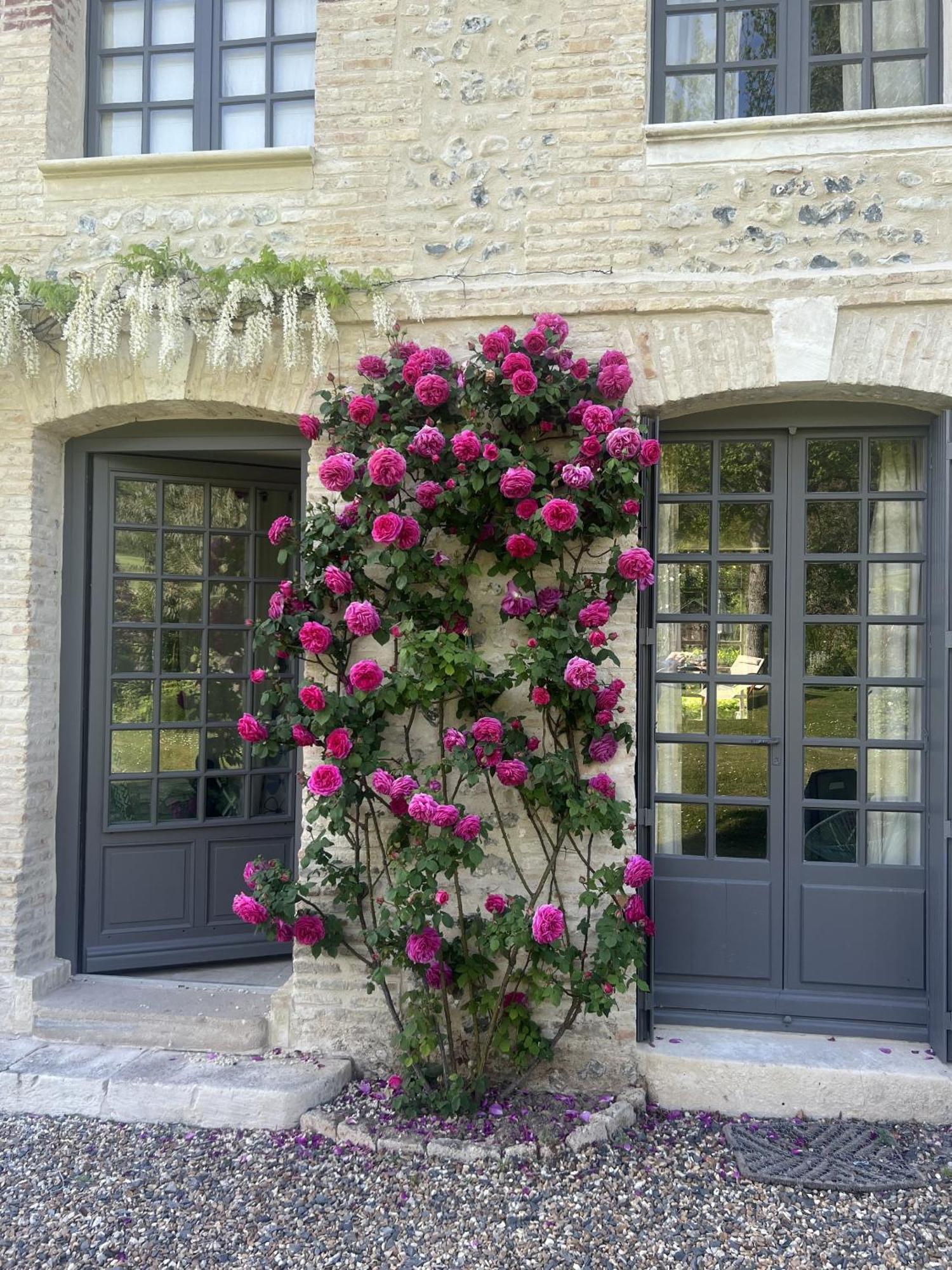La Maison D'Aline - Honfleur - Maison D'Hote De Charme A La Normande Pennedepie Exterior photo